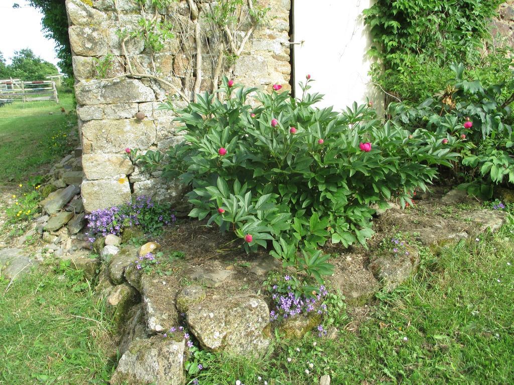 Bed and Breakfast Les Sources Poilley  Экстерьер фото