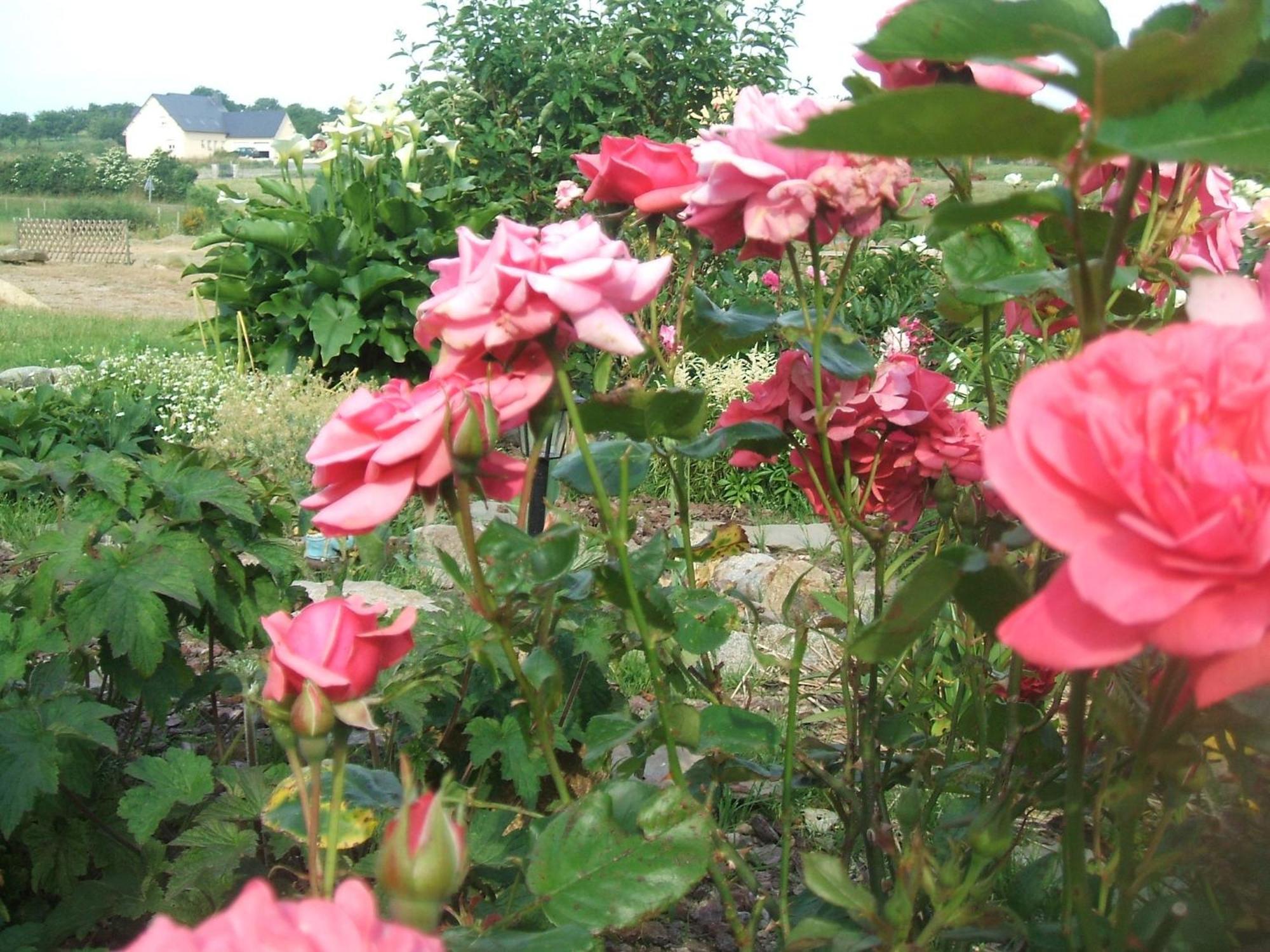 Bed and Breakfast Les Sources Poilley  Экстерьер фото